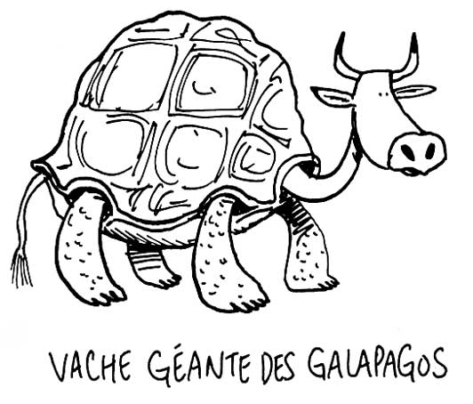 vache